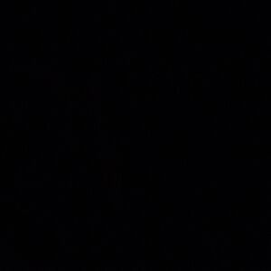 This Is Not A Listing